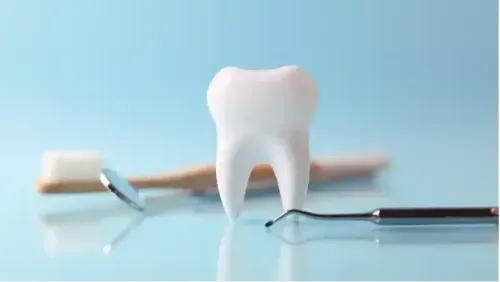 What is the Cost of a Dental Bone Graft?